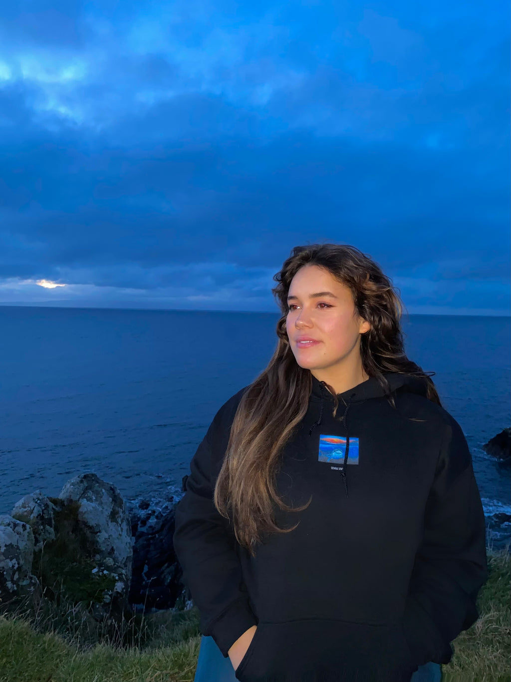 Great white shark hoodie